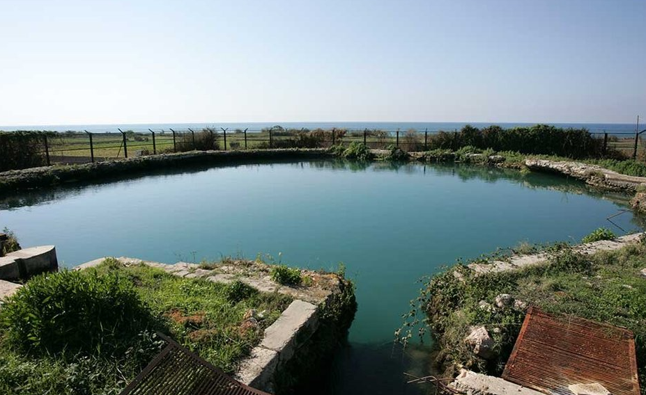 Tyre Coast Nature Reserve , Lebanon
